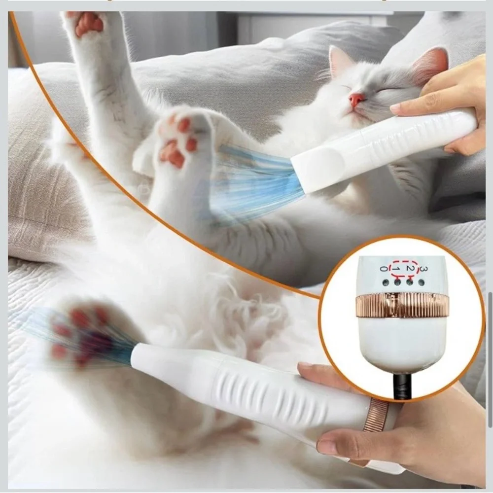 Pet Blow Dryer with removal, spray/mist/steamer brush